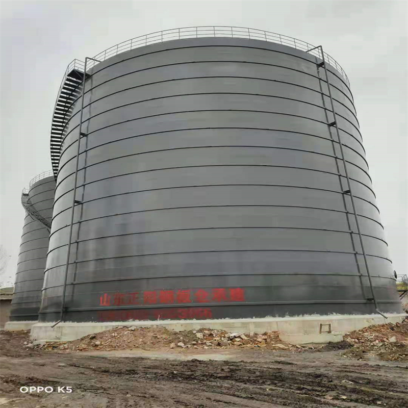 柳江3万吨大型钢板库