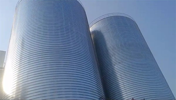 柳江2座混凝土高架卷板仓